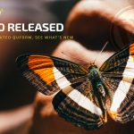 Quform 2.15.0 Released